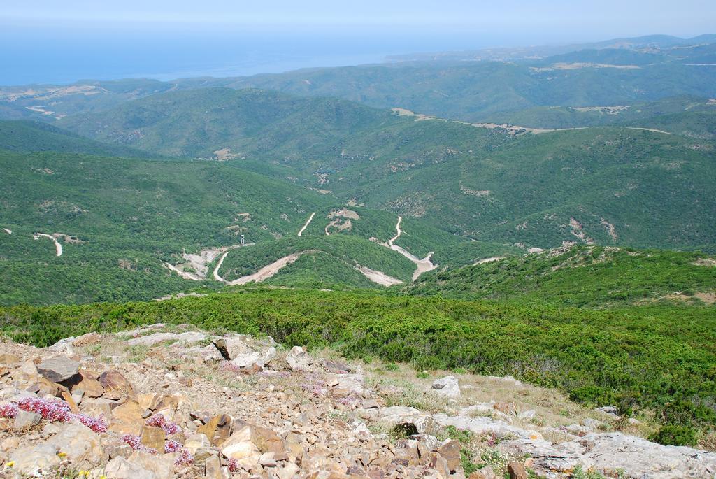 Agriturismo Rocca Su Moru Villa Arbus Ngoại thất bức ảnh